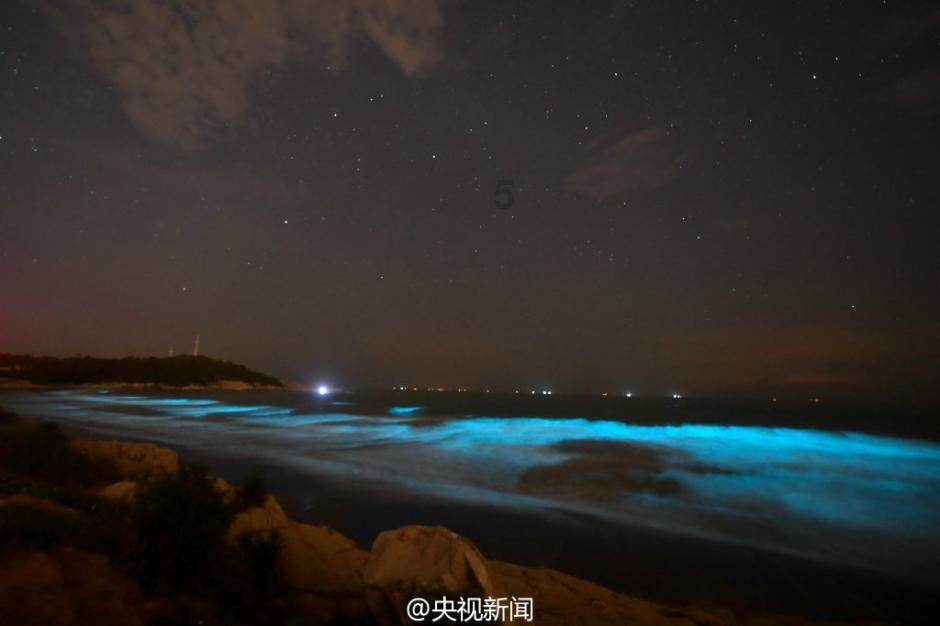 初中语文积累本摘抄游戏画面
